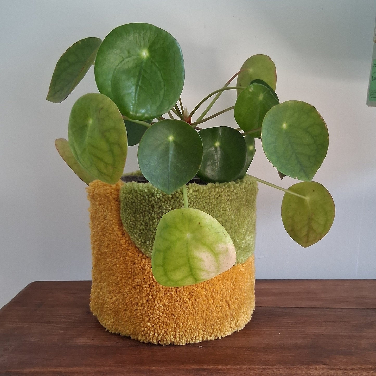 Cache-Pot "CURVA VERDE" créé par La Balmo | Tufting - Laine acrylique jaune et verte