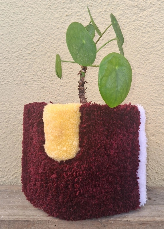 Cache-pot tricolore valorisant une plante pilea
