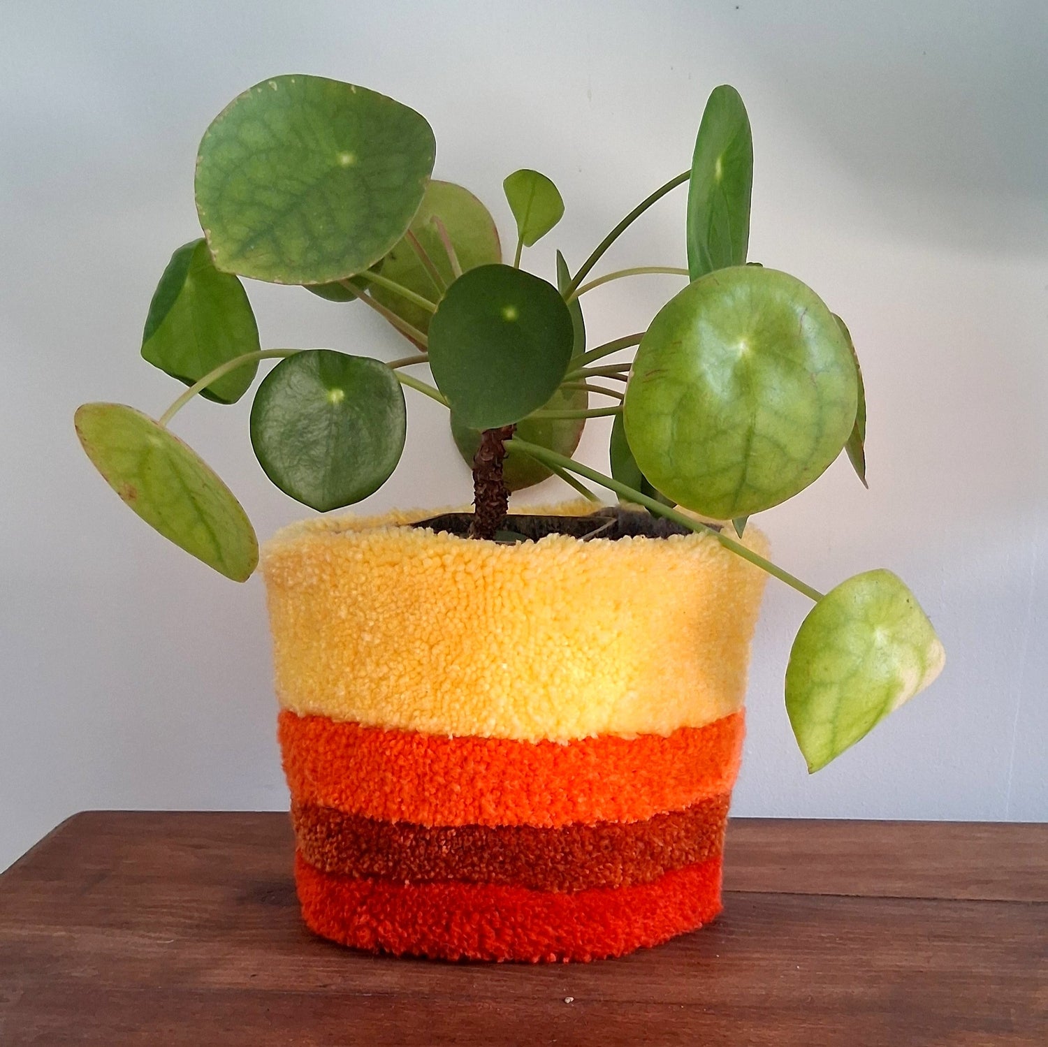 Cache-pots tufting