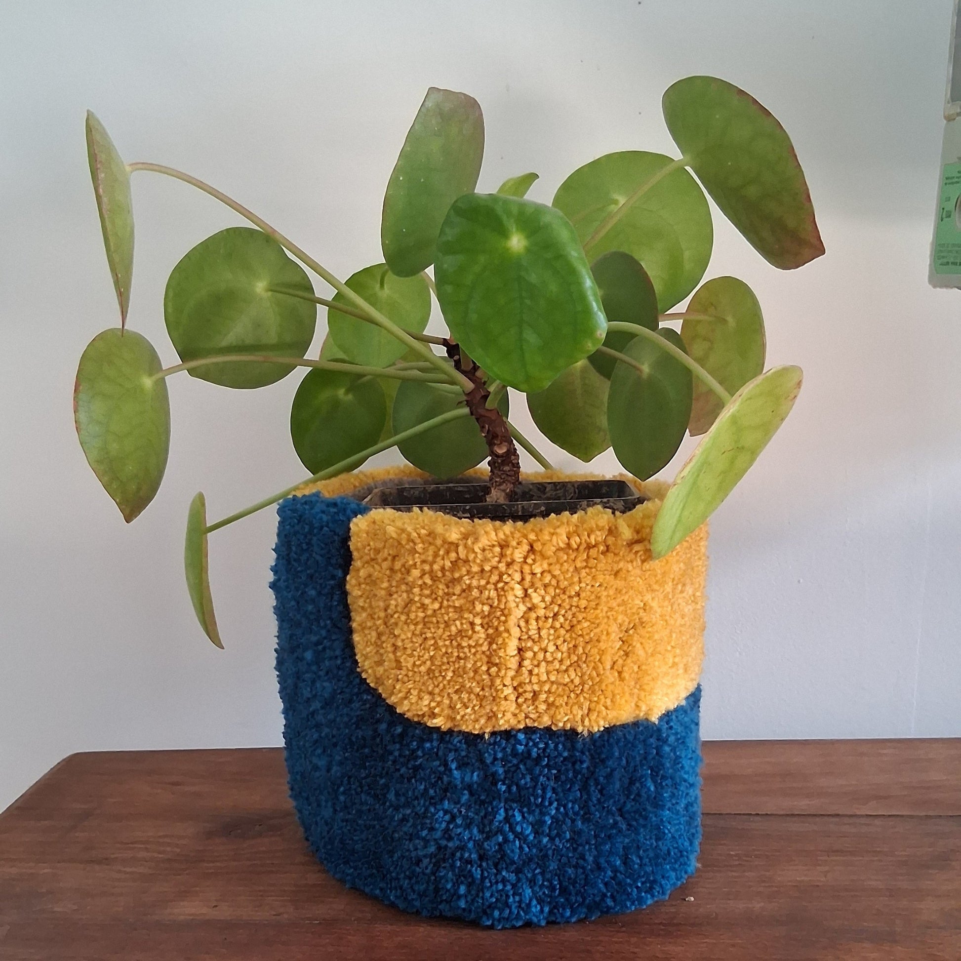 Cache-Pot "CURVA AZUL" créé par La Balmo | Tufting - Laine acrylique jaune et bleue