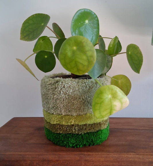 Cache-Pot "Green line" créé par La Balmo | Tufting - Laine acrylique verte